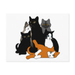 Black 'n' White 'n' Grey 'n' Orange Cats Post Cards