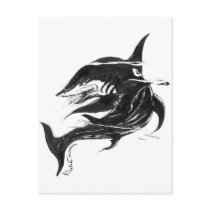 Black n White Shark Postcard