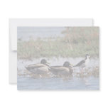 Black necked Stilt and Mallards invitations