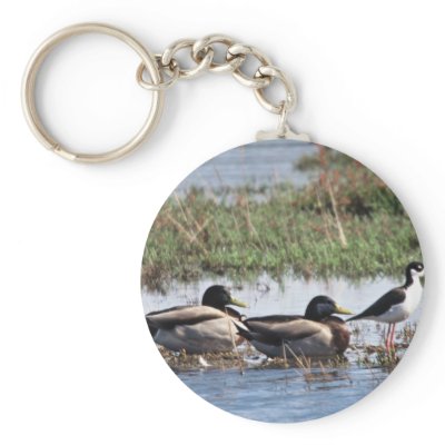 Black necked Stilt and Mallards Keychain by animalpark
