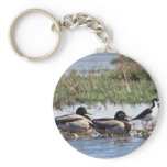 Black necked Stilt and Mallards keychains