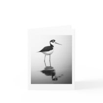 Black-necked Stilt Notecard