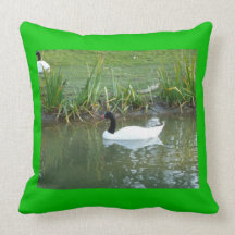Black Necked Swan American MoJo Pillows