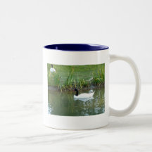 Black Necked Swan Birthday Greetings Mug