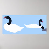 black-necked Swans poster