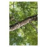 BLack Olive Tree Canopy Stationery Design