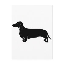 Black on White Dachsund Postcard