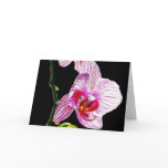 Black Orchid Card