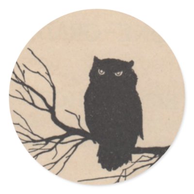 Black Owl - Halloween Sticker by dchaddad