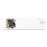 Black Panther Bumper Stickers