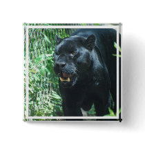 Black Panther Cat   Button
