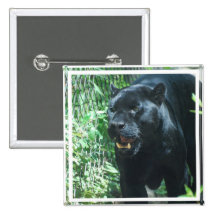 Black Panther Cat   Button