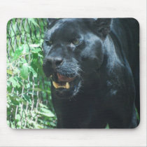 Black Panther Cat  Mouse Pad