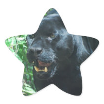 Black Panther Cat  Stickers