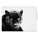 Black Panther Jaguar Greeting Card