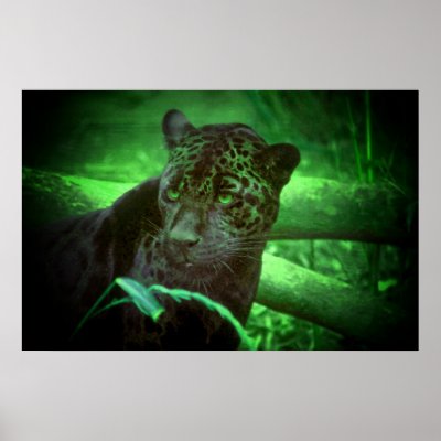 Black Panther Jaguar Posters