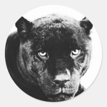 Black Panther Jaguar Round Sticker