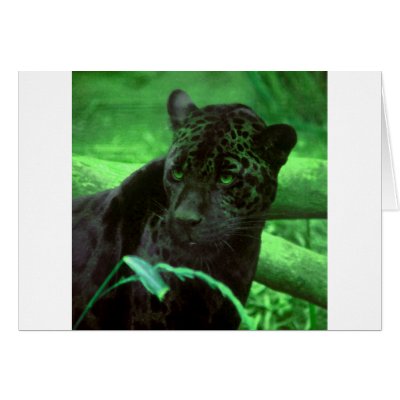 Black Panther Jaquar on Green Greeting Card by deleas