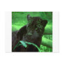 Black Panther Jaquar on Green Postcards