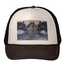 Black Panther Mexico Collection Trucker Hats
