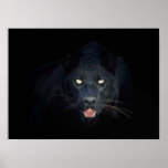 Black panther poster