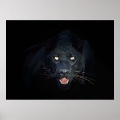 Black panther poster