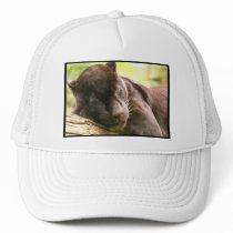Black Panther Sleeping Baseball Hat