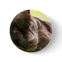 Black Panther Sleeping Button