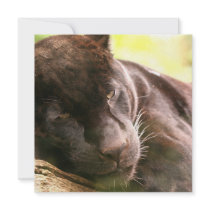 Black Panther Sleeping Invitations