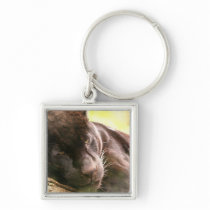 Black Panther Sleeping Keychain