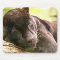 Black Panther Sleeping Mouse Pad