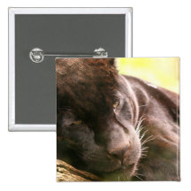 Black Panther Sleeping Pin