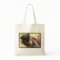 Black Panther Sleeping Small Bag