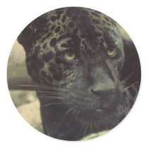 Black Panther Stickers