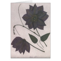 Black Passion Greeting Cards