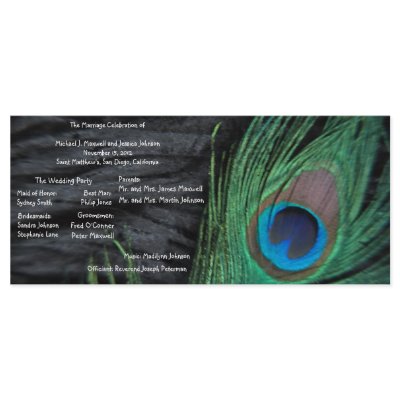 Black Peacock Velvet Background Wedding Program Customised Rack Card by Peacocks