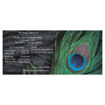Black Peacock Velvet Background Wedding Program Customised Rack Card