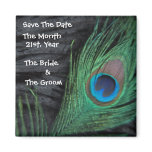 Black Peacock Wedding Magnets
