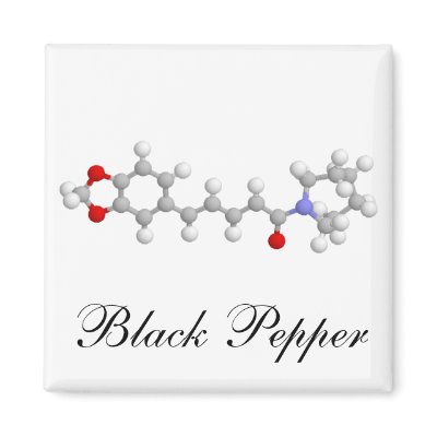 Black Pepper Refrigerator Magnet by Nushka
