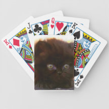Black persian kitten card decks