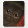 BLACK PERSIAN KITTEN CAT Mousepad