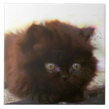 Black persian kitten ceramic tiles