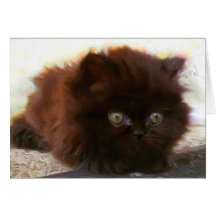 Black Persian Kitten Notecard
