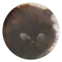 Black persian kitten party plate