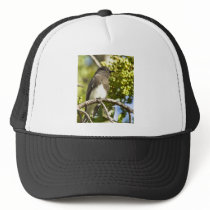 Black Phoebe Mesh Hats