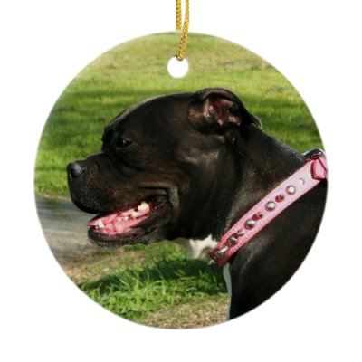 Black pitbull ornament by ritmoboxer
