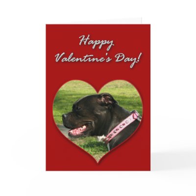 Black Pitbull Valentines Day Card by ritmoboxer