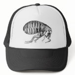 Black Plague fleas hats