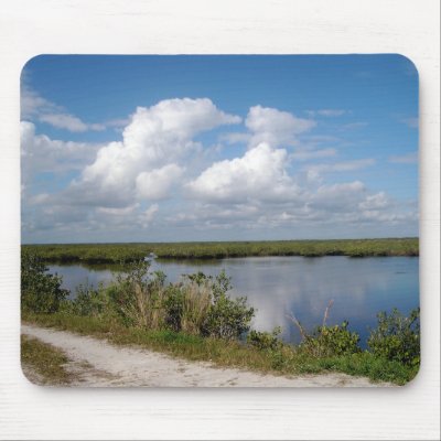 Black Point Wildlife Drive Mouse Mat by FloridaSiren