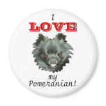 Black Pomeranian-I LOVE my Pomeranian! Refrigerator Magnets